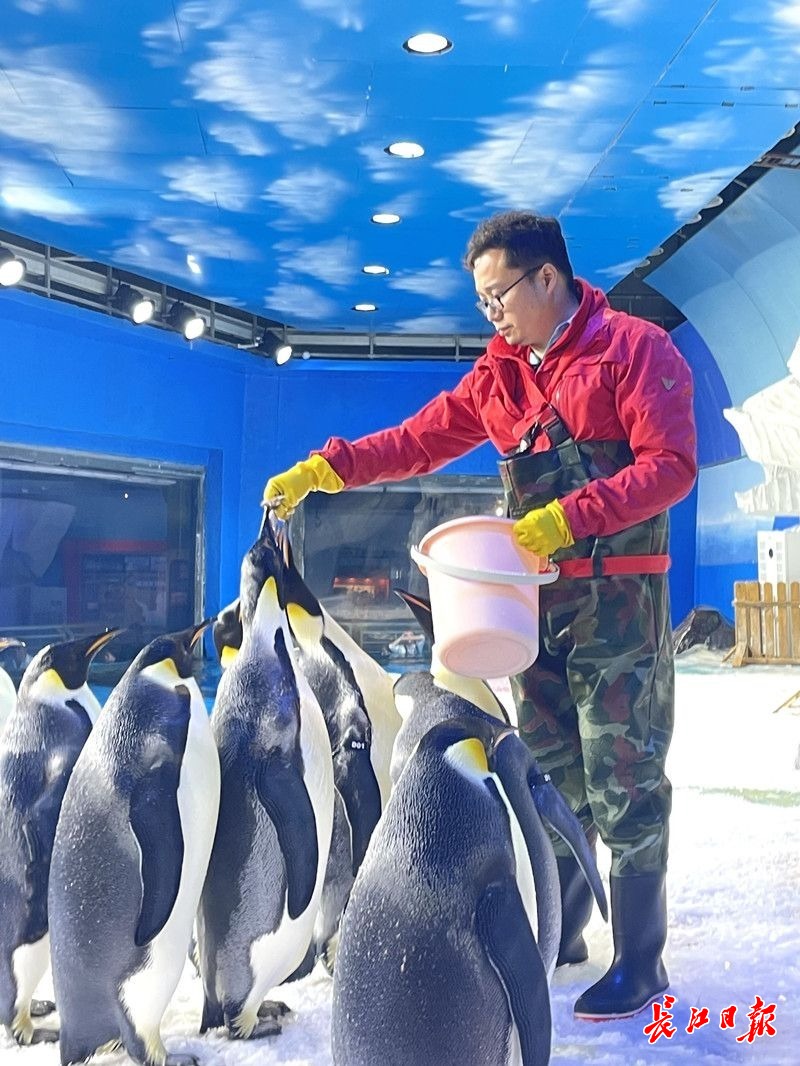 奇异果体育官方网站-出门35℃进门-2℃夏季他们每天穿梭于“两重天”(图1)