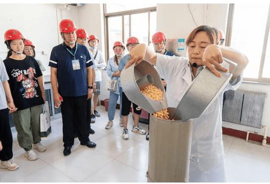 奇异果体育-知名国企“中储粮”开始招聘六险二金食宿全包入职门槛却不高(图6)