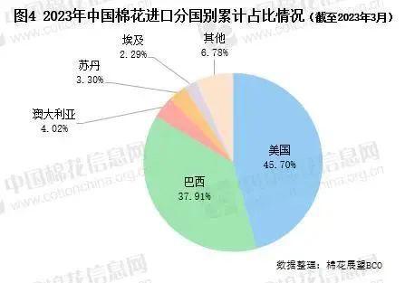 奇异果体育-国内外棉价冲高回落 3月国内衣着类价格同比上涨2% 中国发往美国的集(图2)