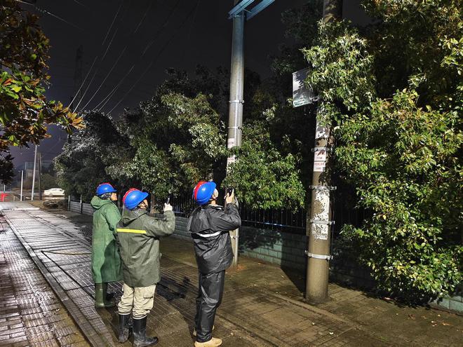 奇异果体育-雨雪冰冻天气里“鄂电红马甲”两小时清除树障恢复线路供电(图1)