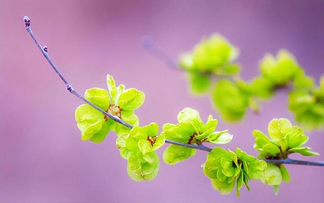 奇异果体育-雇主提出给45岁保姆每个月9000的工资保姆：看不起谁呢？再见(图2)